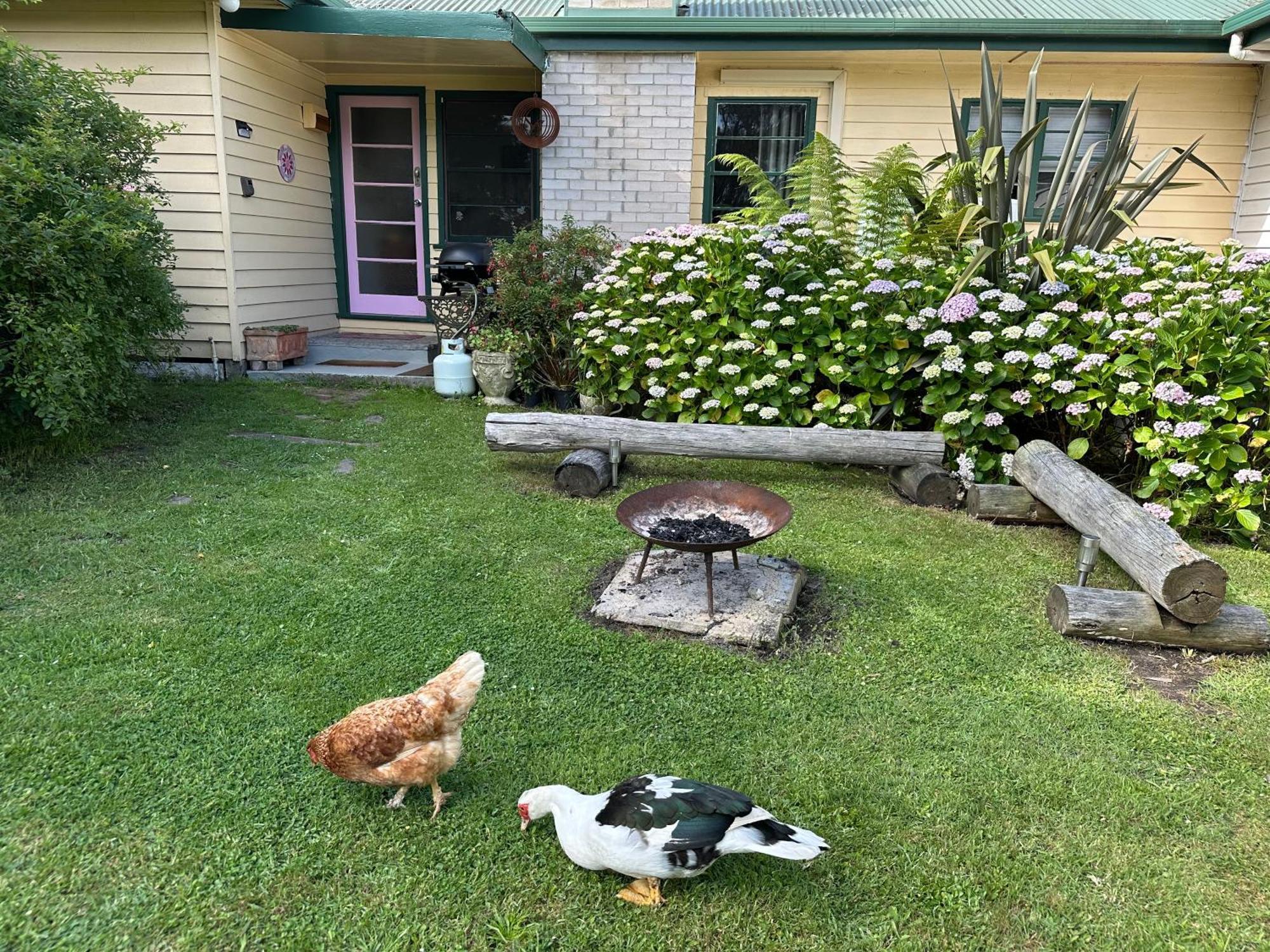 Bush Retreat Farm Stay 2 Bedroom Guest Suite Gelliondale 외부 사진